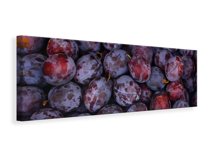 panoramic-canvas-print-fresh-plums