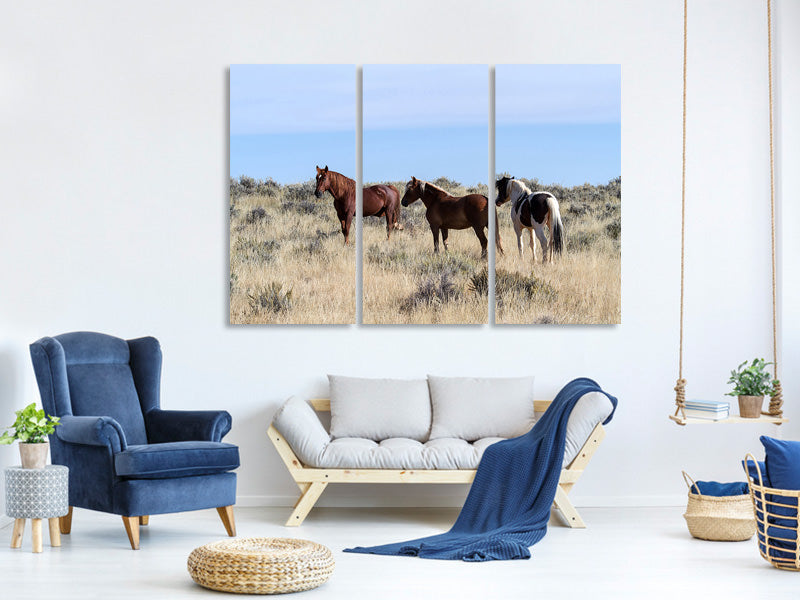 3-piece-canvas-print-3-horses-in-nature