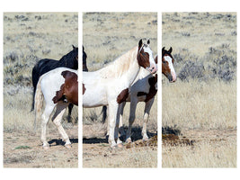 3-piece-canvas-print-3-wild-horses