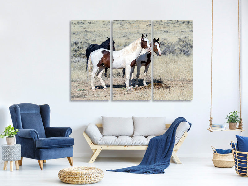 3-piece-canvas-print-3-wild-horses