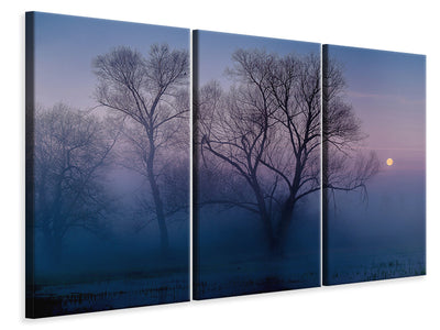 3-piece-canvas-print-another-new-day