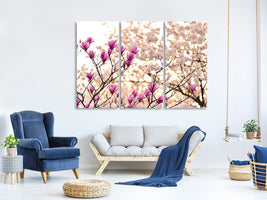 3-piece-canvas-print-beautiful-magnolia-xl