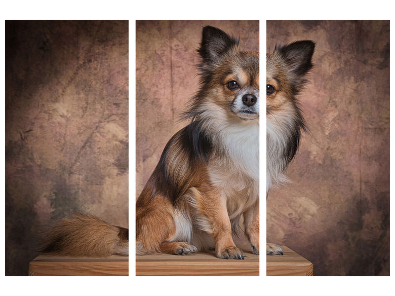 3-piece-canvas-print-chihuahua-portrait