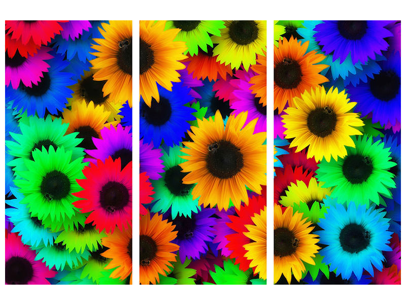 3-piece-canvas-print-colorful-sunflowers
