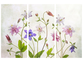 3-piece-canvas-print-columbine