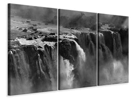 3-piece-canvas-print-demonstration-of-power