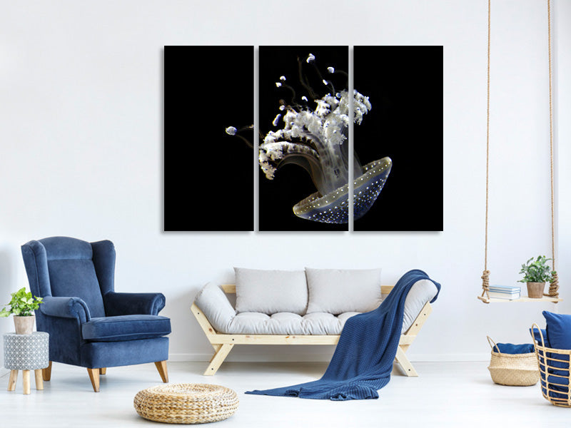 3-piece-canvas-print-fascinating-jellyfish
