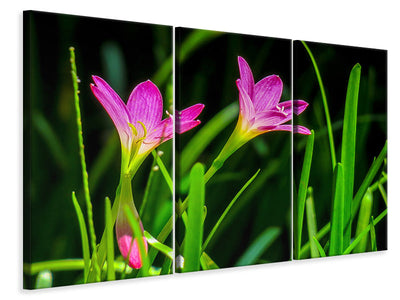 3-piece-canvas-print-flowers-in-nature