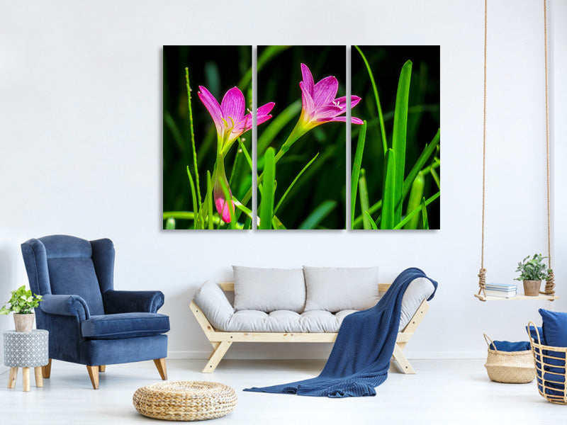 3-piece-canvas-print-flowers-in-nature