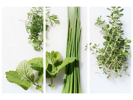 3-piece-canvas-print-fresh-herbs