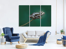 3-piece-canvas-print-frog