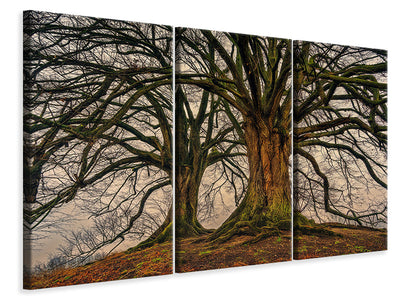 3-piece-canvas-print-ghostly-trees