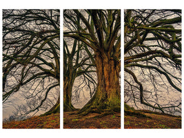 3-piece-canvas-print-ghostly-trees