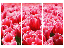 3-piece-canvas-print-happy-tulip-field