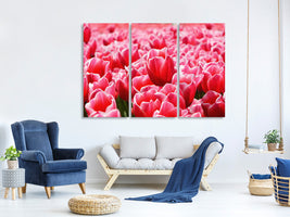 3-piece-canvas-print-happy-tulip-field