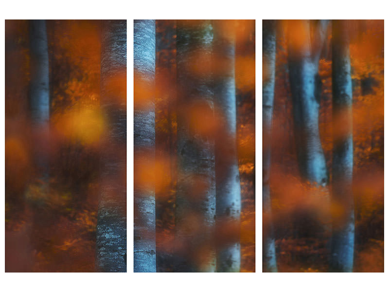 3-piece-canvas-print-hidden-forest