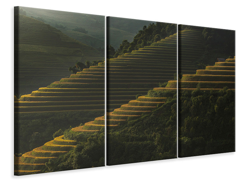 3-piece-canvas-print-landing-fields-at-sunrise-beautiful-golden-light-shines