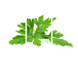 3-piece-canvas-print-leaves-of-parsley