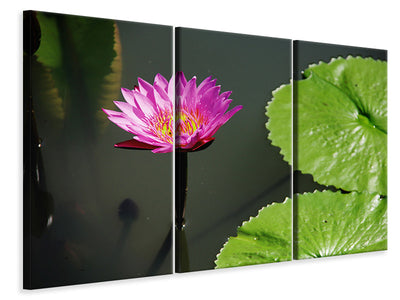 3-piece-canvas-print-lotus-flower-in-pink