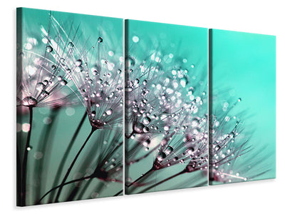 3-piece-canvas-print-macro-dandelion-p
