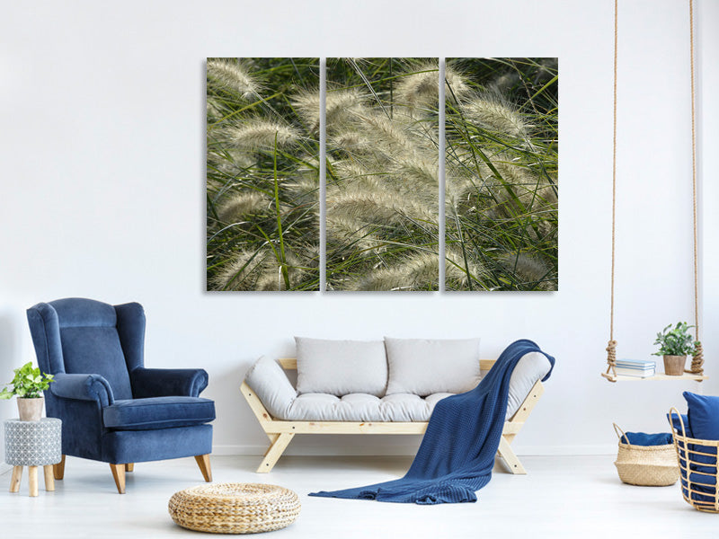 3-piece-canvas-print-ornamental-grass-in-the-wind
