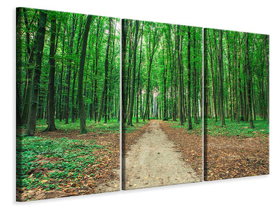 3-piece-canvas-print-pine-forests
