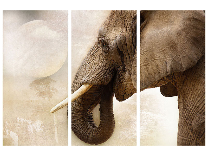 3-piece-canvas-print-portrait-of-an-elephant