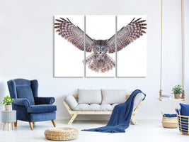 3-piece-canvas-print-power-great-grey-owl