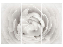 3-piece-canvas-print-ranunculus