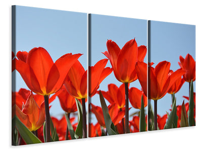 3-piece-canvas-print-red-tulips-xl
