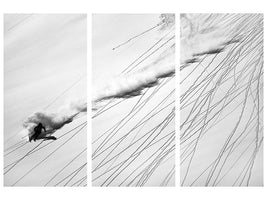 3-piece-canvas-print-skiing-powder