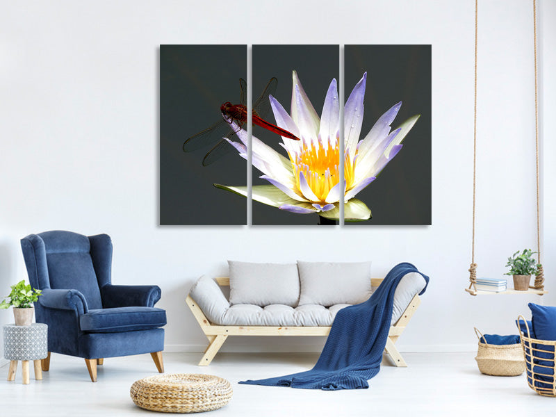 3-piece-canvas-print-the-dragonfly-on-the-flower