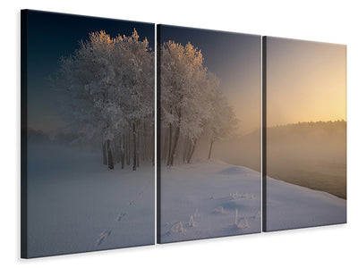 3-piece-canvas-print-the-first
