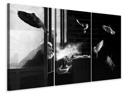 3-piece-canvas-print-the-man-of-pigeons
