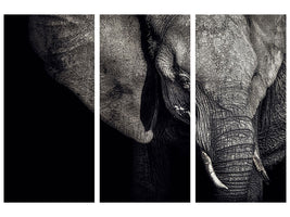 3-piece-canvas-print-the-matriarch