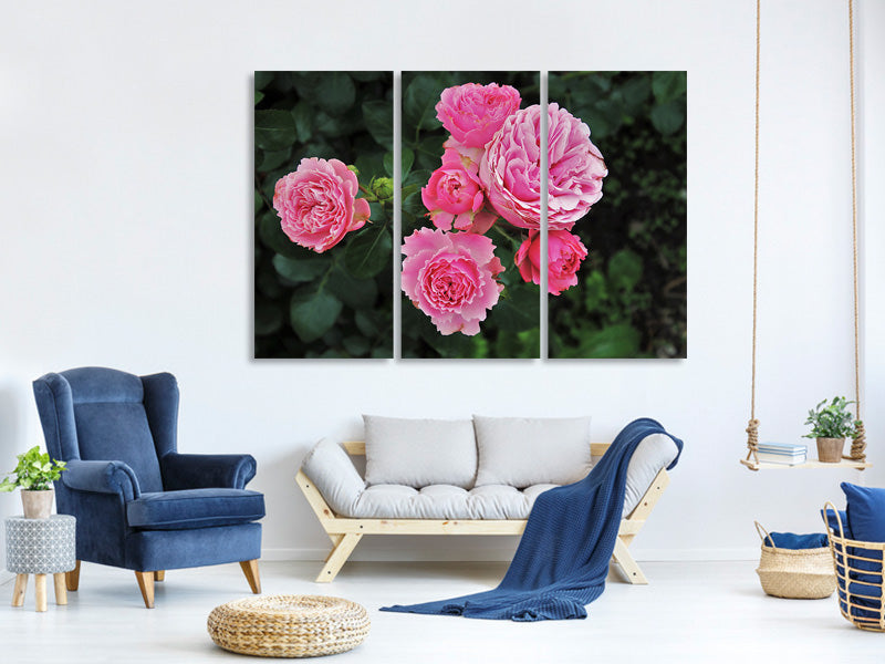 3-piece-canvas-print-the-wild-roses-in-pink