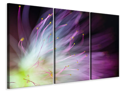3-piece-canvas-print-the-will-o-the-wisp