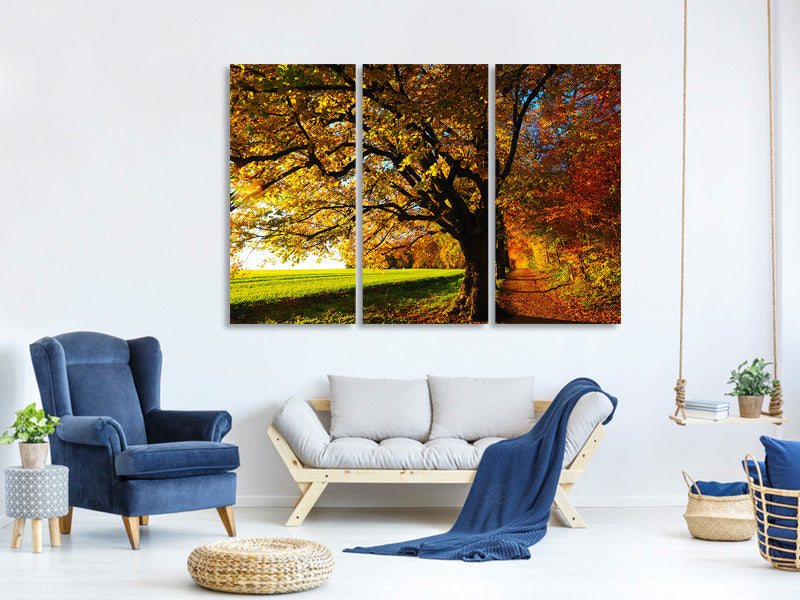 3-piece-canvas-print-trees-in-the-autumn
