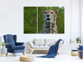 3-piece-canvas-print-watchful-cheetah