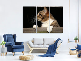 3-piece-canvas-print-xl-cat