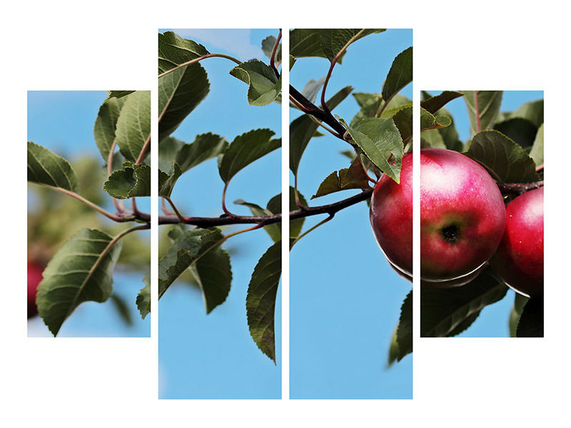4-piece-canvas-print-apple-on-the-tree