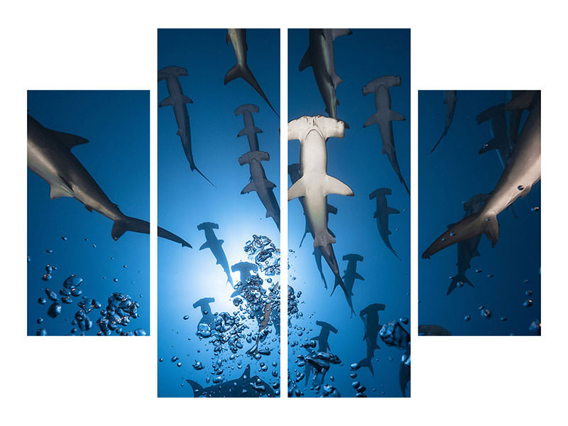 4-piece-canvas-print-hammerhead-shark