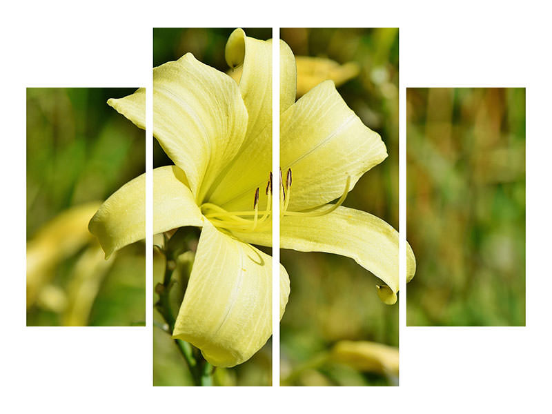 4-piece-canvas-print-lilies-blossom-in-yellow