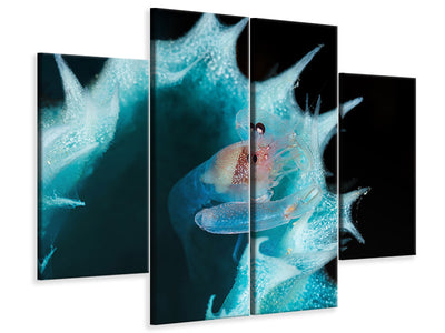 4-piece-canvas-print-shrimp-in-a-blue-sponge