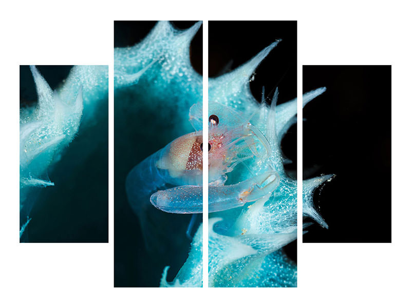 4-piece-canvas-print-shrimp-in-a-blue-sponge