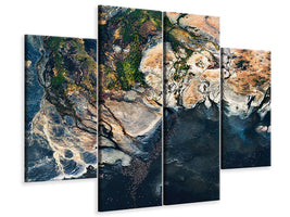 4-piece-canvas-print-splendid-africa