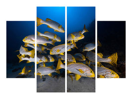 4-piece-canvas-print-underwater-photography-indian-ocean-sweetlips
