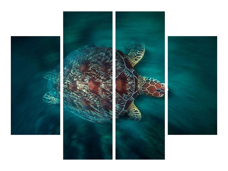 4-piece-canvas-print-valocity-turtle