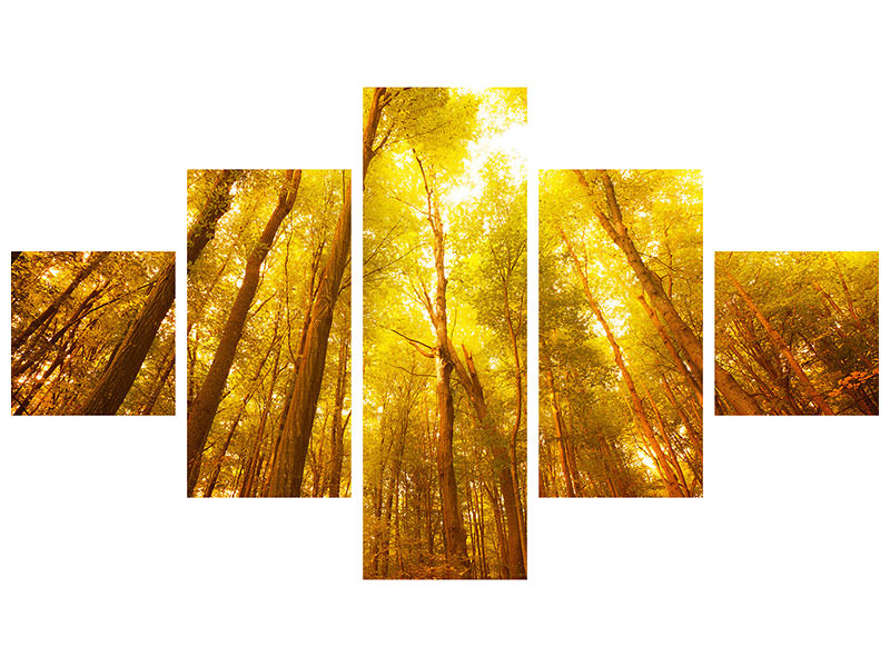 5-piece-canvas-print-autumn-forest