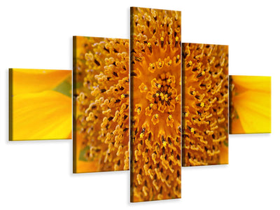 5-piece-canvas-print-beautiful-buds-of-the-sunflower